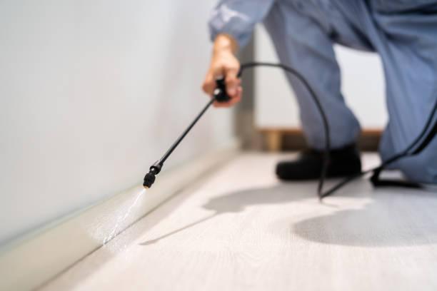 Bed Bug Pre-Treatment Preparation Assessment in East Syracuse