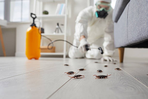 Post-Treatment Bed Bug Interceptor Monitoring in East Syracuse