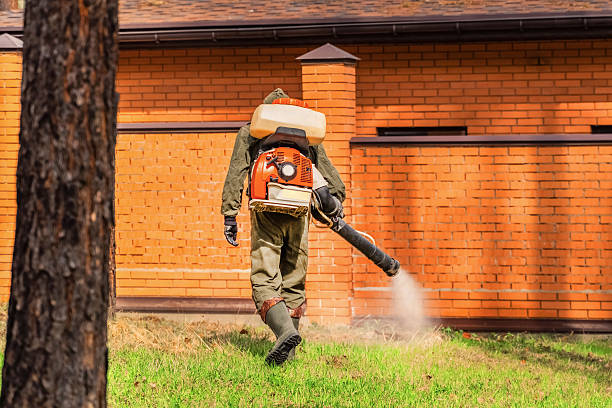 Bed Bug Clearance Verification and Documentation in East Syracuse